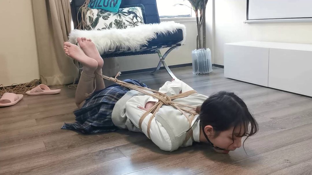 定拍珊珊驷马放置-7