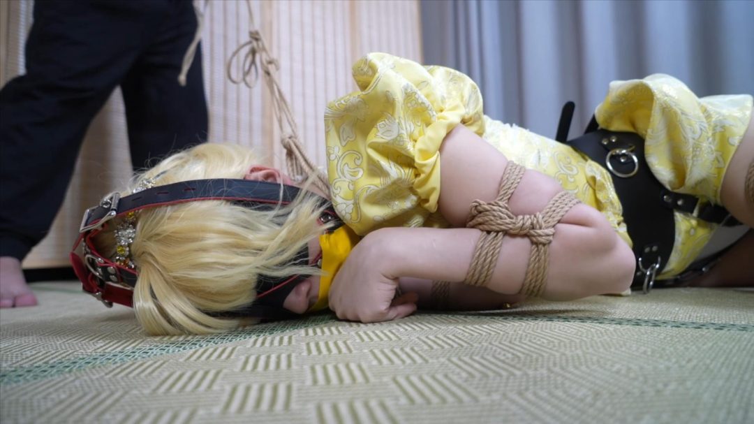 小0-cos 姬野兰，马具口塞，犬缚牵引！-10