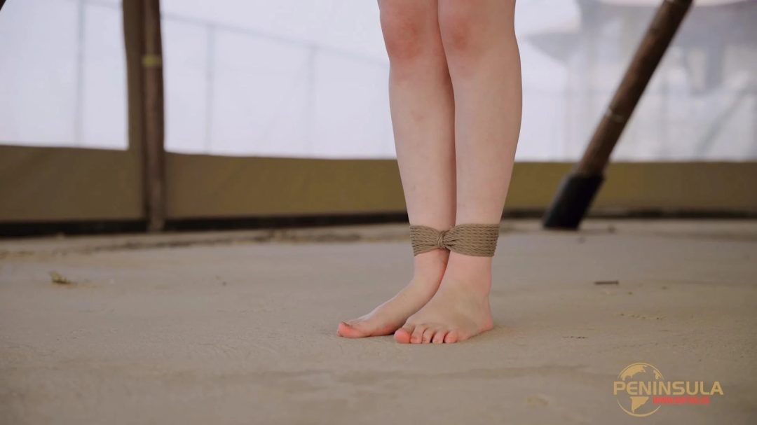 【半岛束艺台】【泠鸢】车身人肉稳定系统HSP3.0Plus版-5