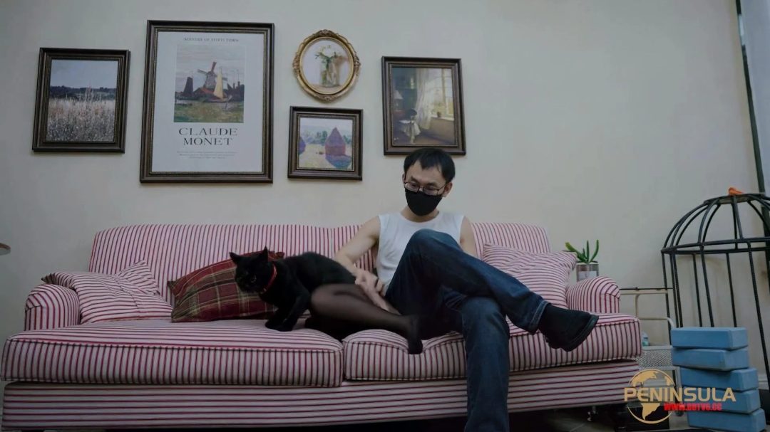 【半岛束艺台】【波雅】真假黑猫-1