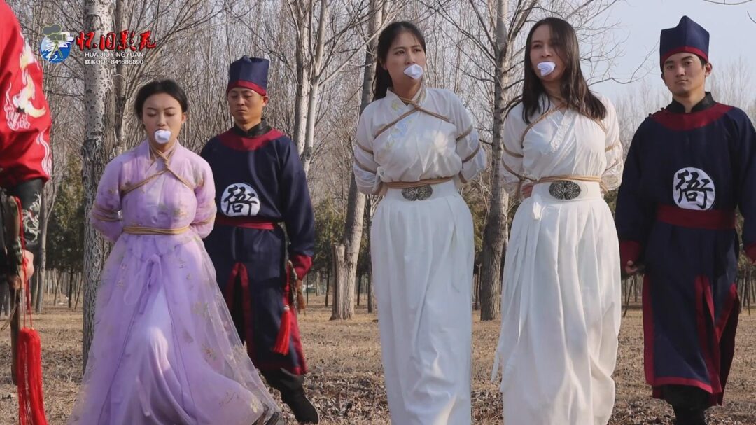 怀旧影视定制 古装巨制 《锦衣风云》第一集-1