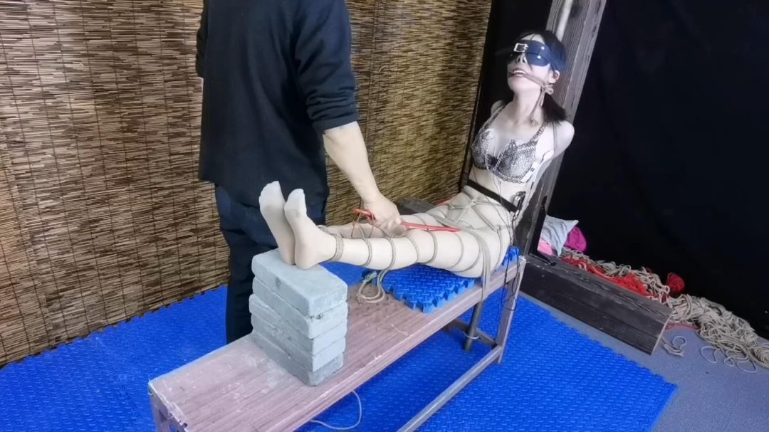 把柔仙儿禁锢在老虎登上,股绳 垫上5块砖 疼的斯心裂肺 绳子勒嘴 tk 耳光报数 郊狼电击 sp-5