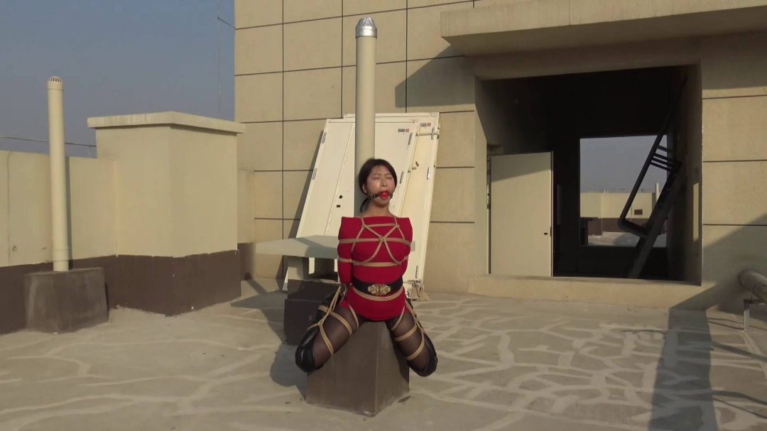 楼顶上的紧缚风采-7