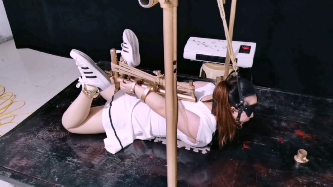 梦涵多功能k9架禁锢-8