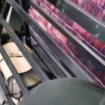 奇形怪装笼子的秘密