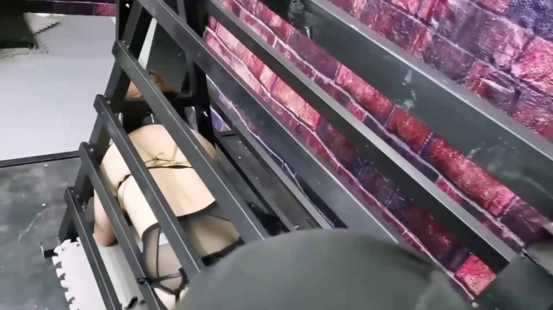 奇形怪装笼子的秘密-3