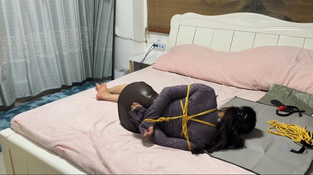 金垚创作 紫色最有韵味，包臀裙驷马蒙眼放置，行李袋麻袋挣扎-2