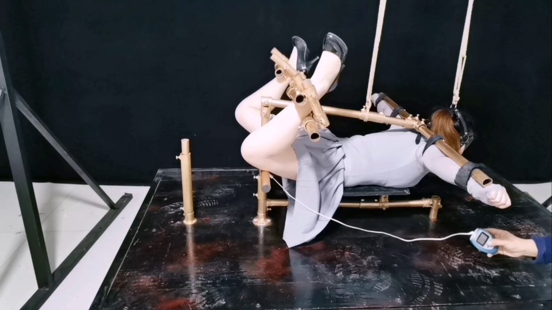 为梦涵精心设计一款多功能K9架-2