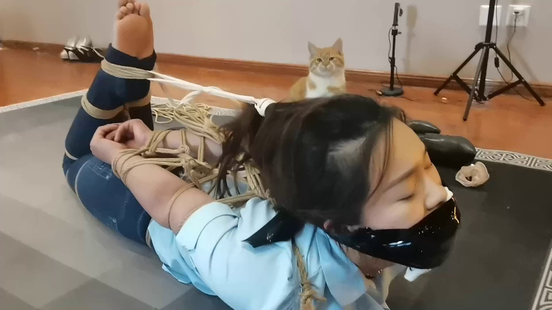 0f9bf893e6e4ec221052ea4a9f77ca97