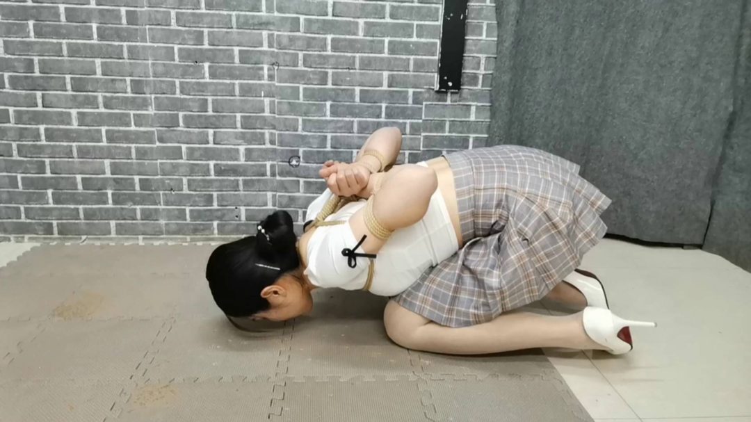 柔柔极限后高手驷马悬空k9架-1