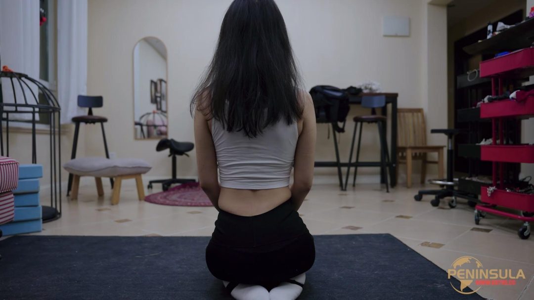 【半岛束艺台】【幼狮】遥控的挂件 下-4