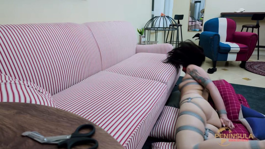 【半岛束艺台】【波雅】命悬一线-7