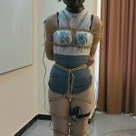 文慧透视装 剥夺感官郊狼电击