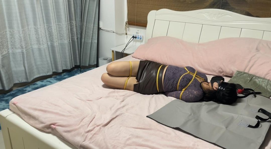 金垚创作 紫色最有韵味，包臀裙驷马蒙眼放置，行李袋麻袋挣扎-3