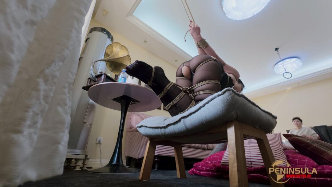 【半岛束艺台】【星眠】这就是为什么台长没有女盆友-1