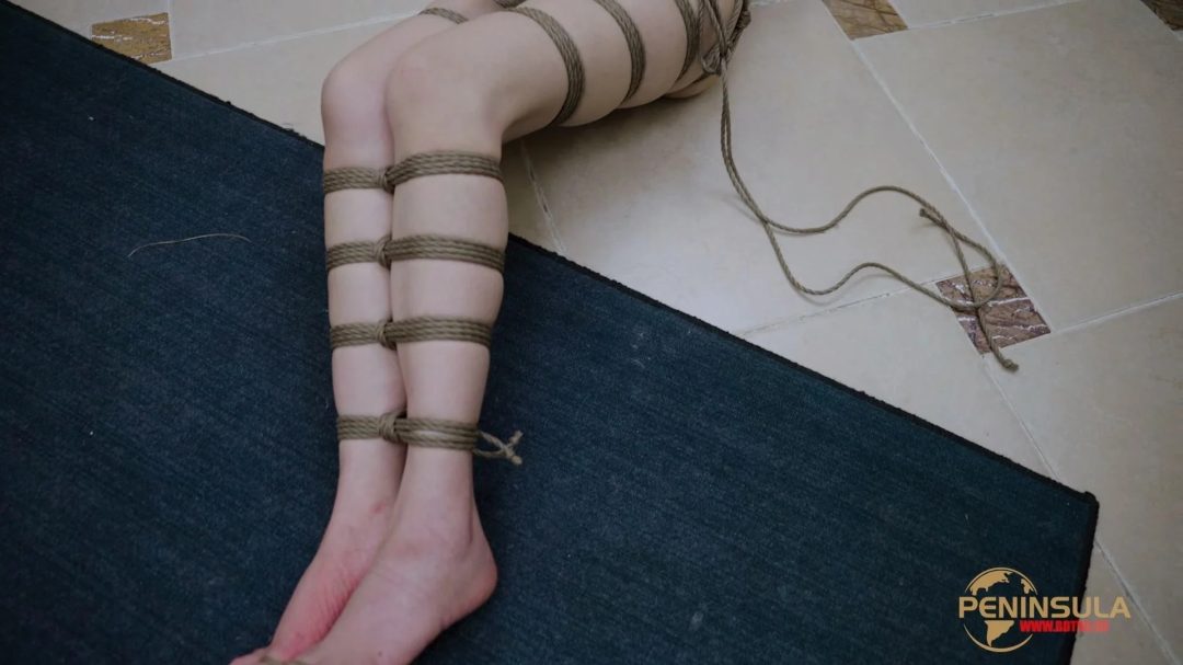 【半岛束艺台】【幼狮】【有奖问答】遥控的挂件 中-4