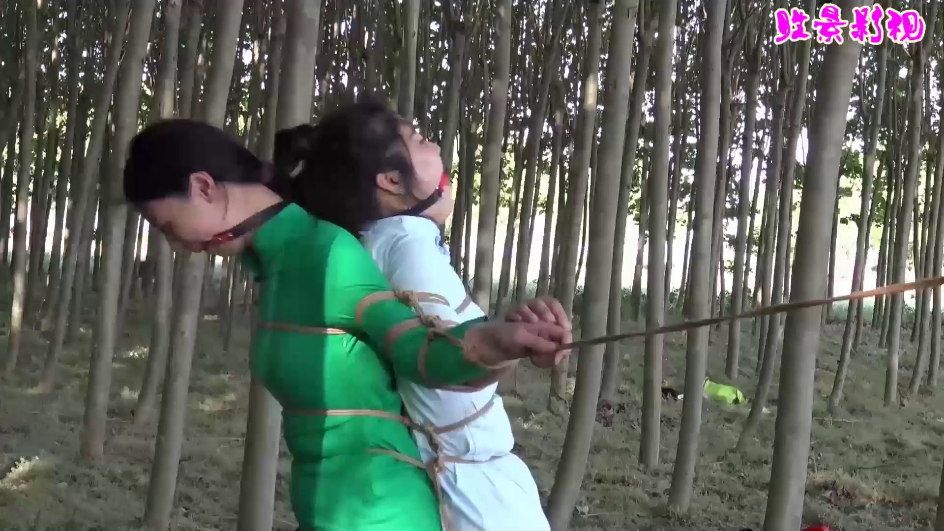 12a211da2e812261159440530bdbb529