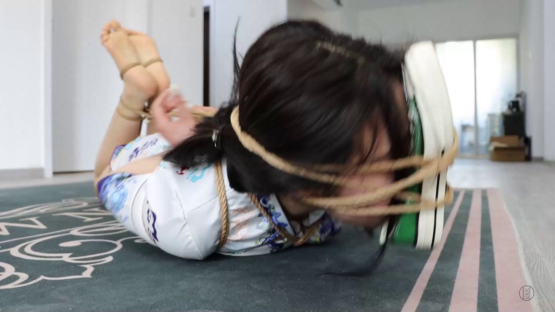 1536b4dc764982ec296601ffae55c7b8