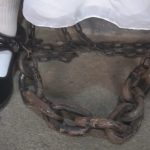 血色断头台之【嫣儿传奇】绑在X架烙铁老虎凳刷子铁钉铁钳板子鞭子重脚镣走绳上断头台