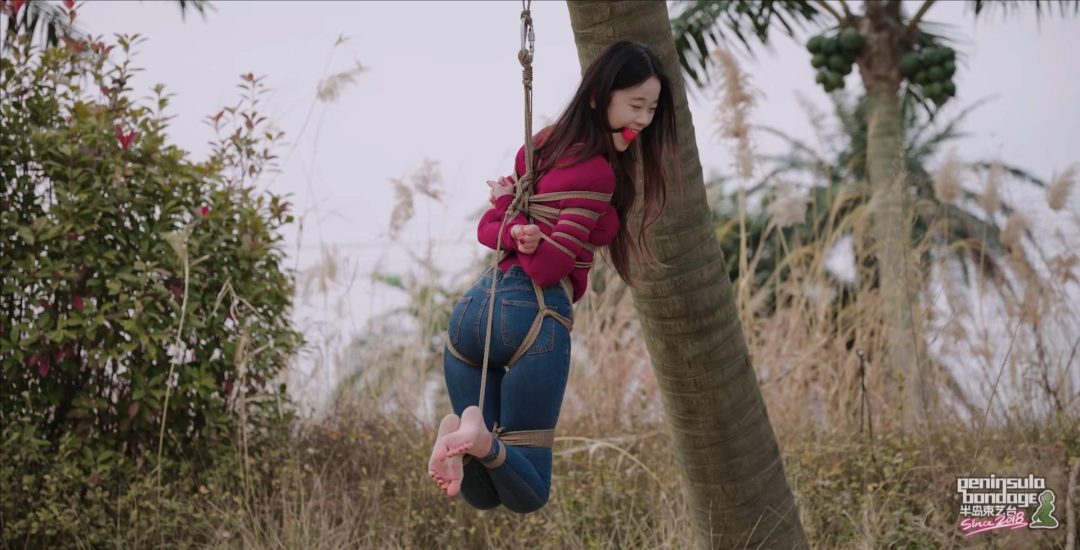 【半岛束艺台】【星眠】 冬天的椰子树-7