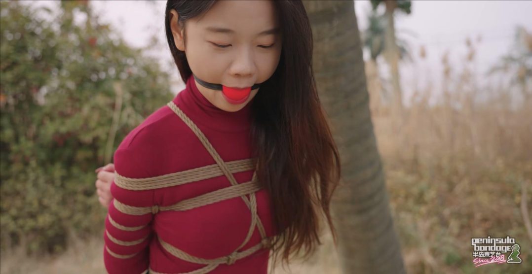 【半岛束艺台】【星眠】 冬天的椰子树-5