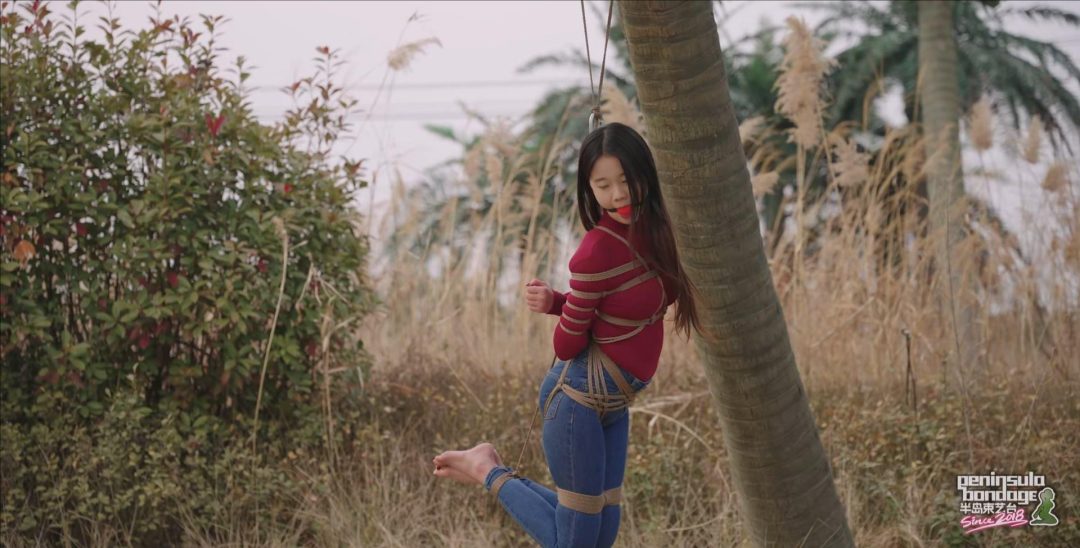 【半岛束艺台】【星眠】 冬天的椰子树-6