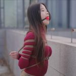 【半岛束艺台】【星眠】 冬天的椰子树