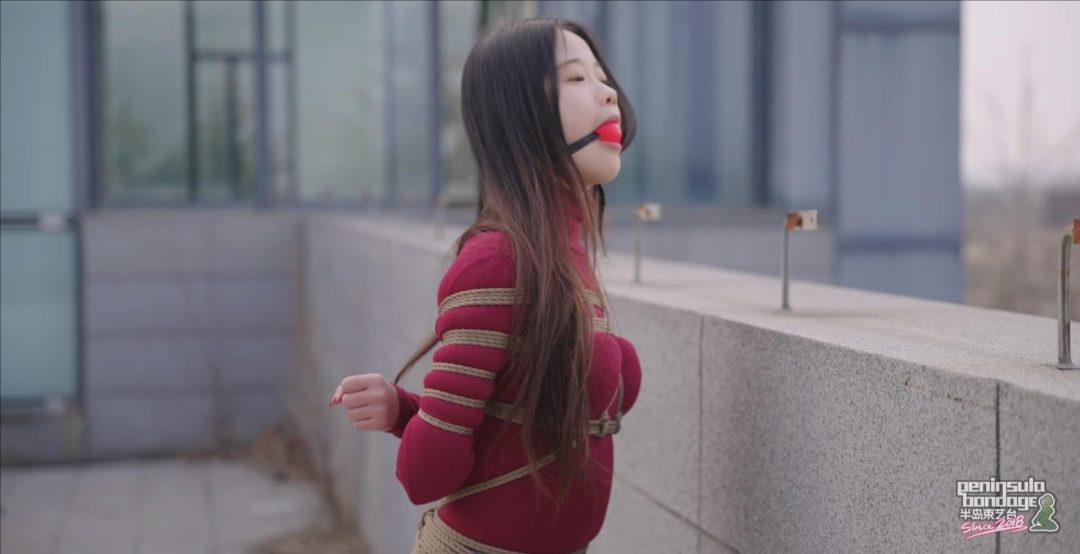 【半岛束艺台】【星眠】 冬天的椰子树-4