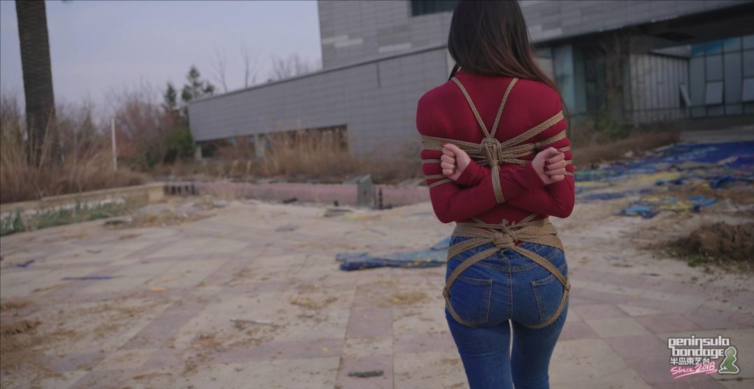 【半岛束艺台】【星眠】 冬天的椰子树-3