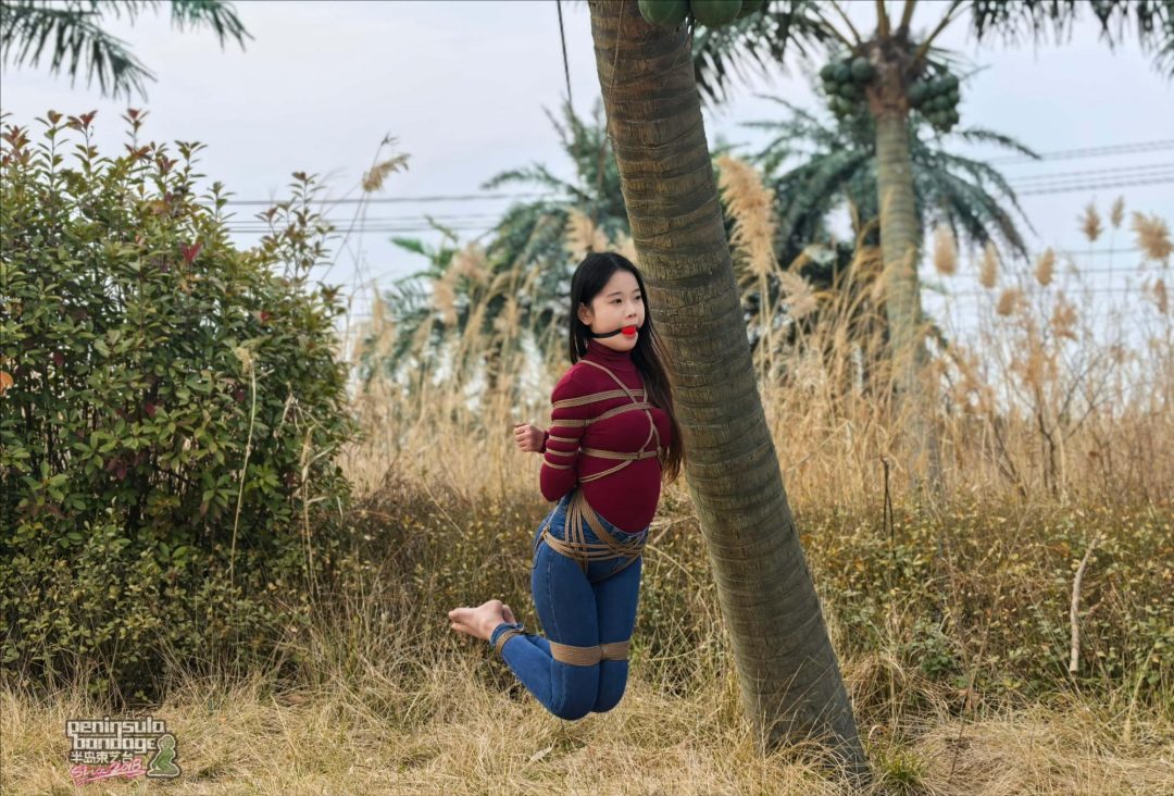 【半岛束艺台】【星眠】 冬天的椰子树-2