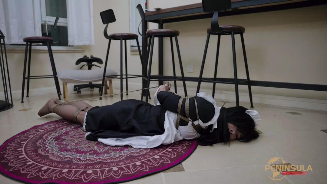 半岛定拍 女仆的噩梦（上篇）-6