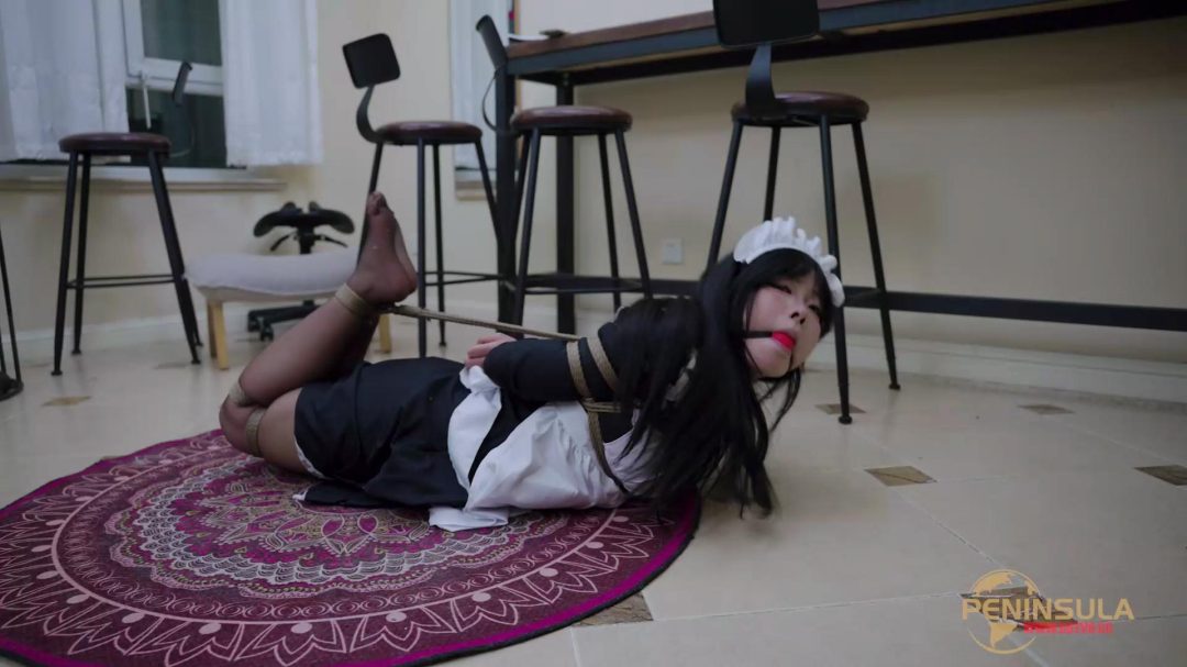 半岛定拍 女仆的噩梦（上篇）-5