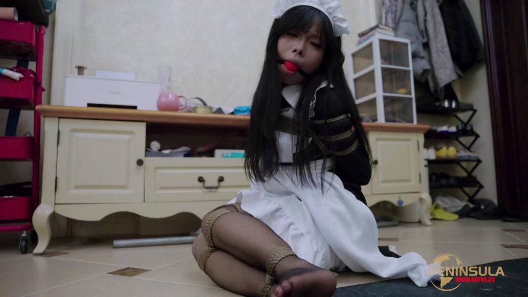 半岛定拍 女仆的噩梦（上篇）-3