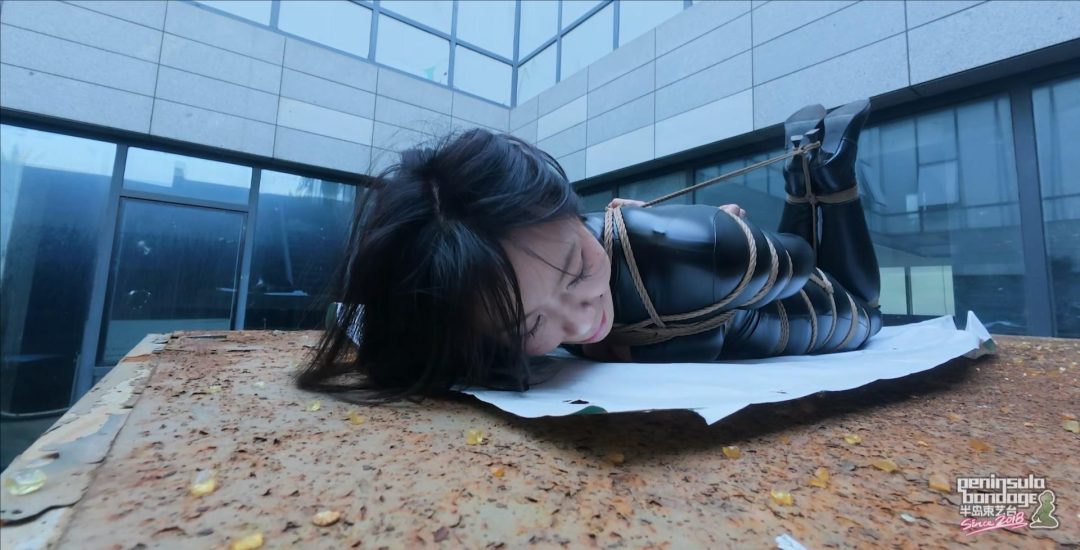 【半岛束艺台】【波雅】最后的人类-7