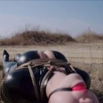 【半岛束艺台】【波雅】最后的人类