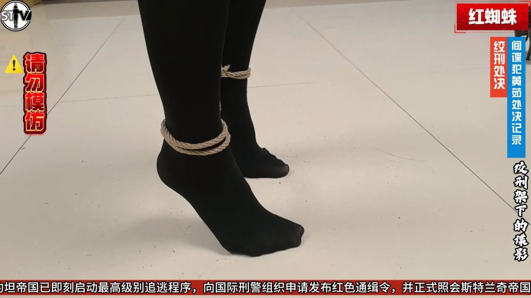 【玄武orz 】【2026开年剧情大作】斯特兰奇法制电视台《红蜘蛛》第一集——绞刑架下的谍影-12