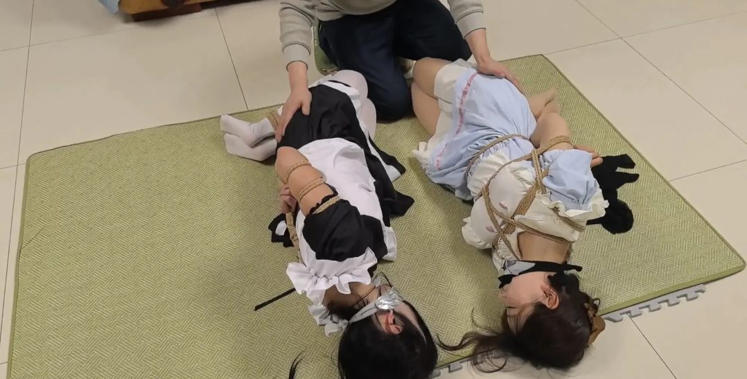 自救系列番外三：女仆与大小姐-8