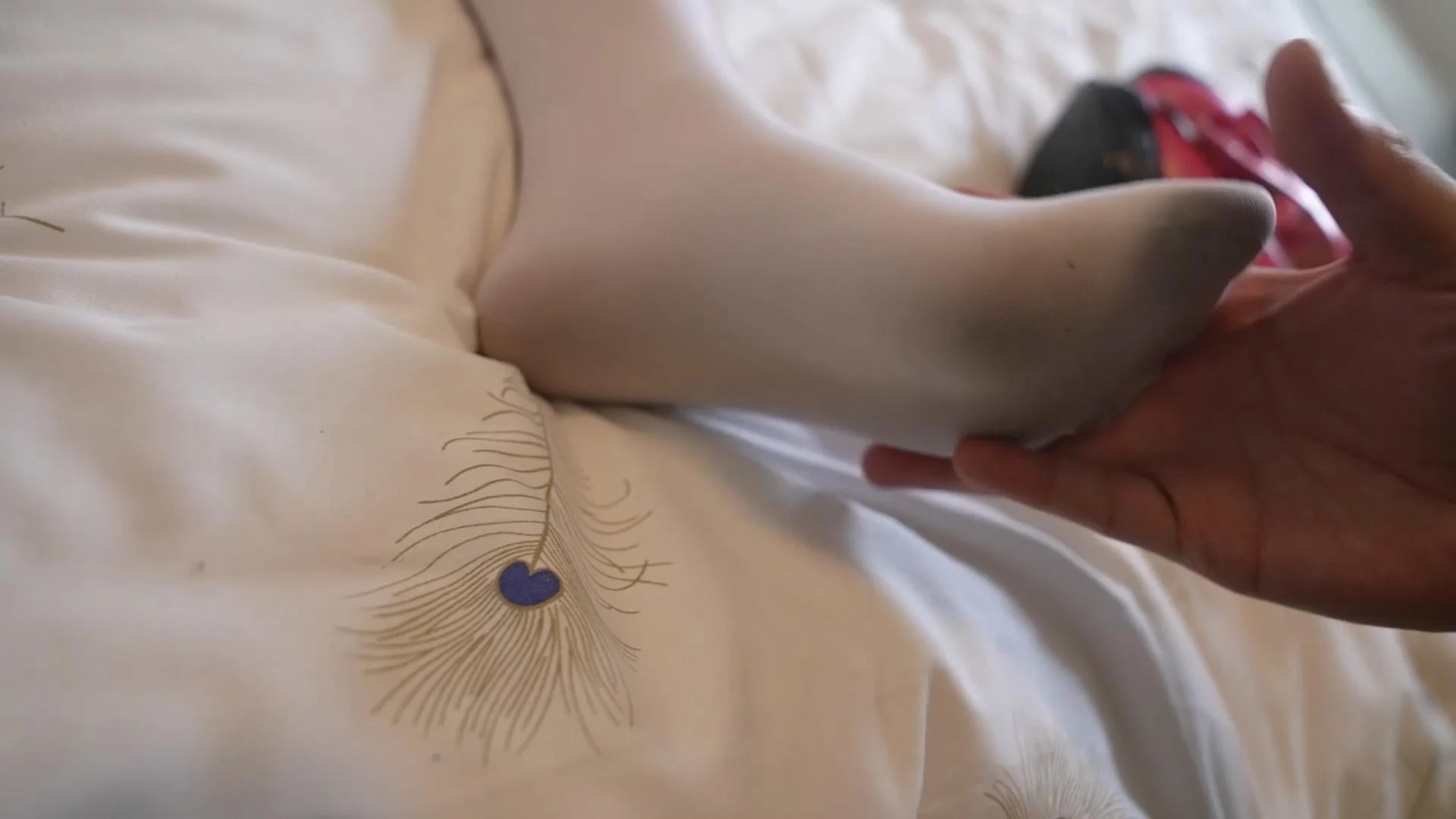 204559hboa2lumo2nnlo2b