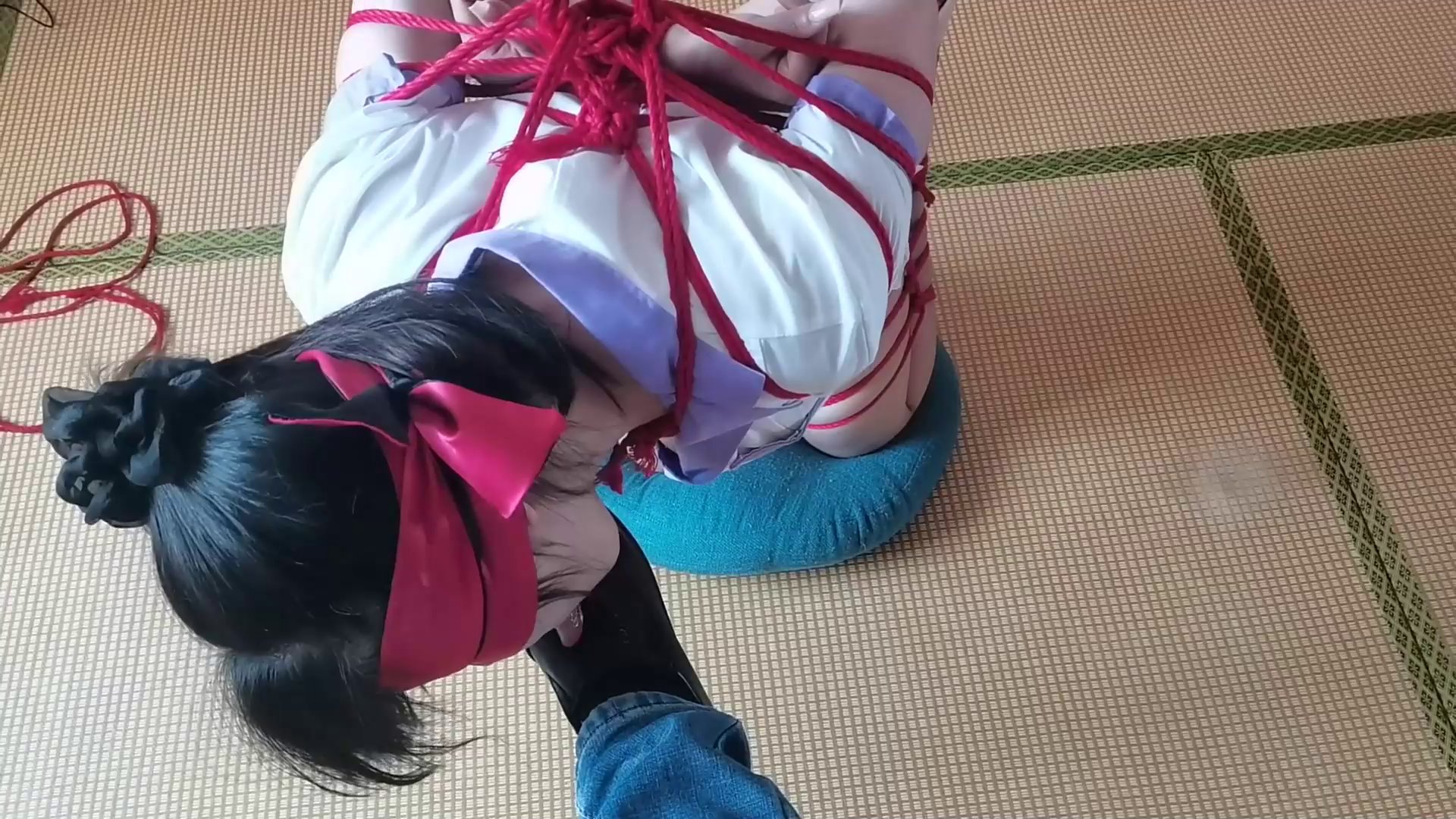 21ed98466d6b0d3521ae3b918f48579e