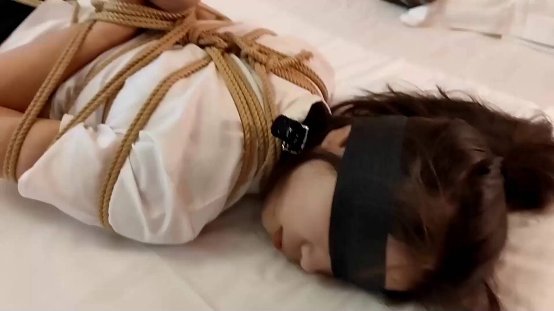 娇俏晴子OL的酒店之约第四季，特殊的培训，蛇夫、驷马-3