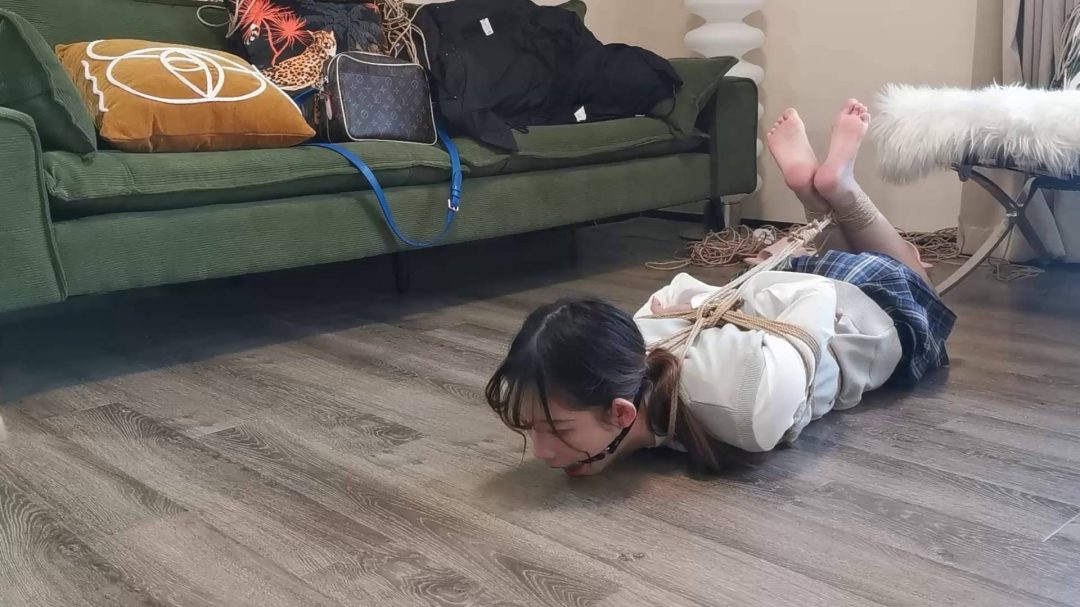 定拍珊珊驷马放置-4