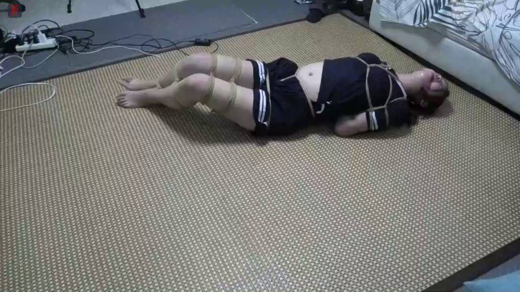 2a5e1c5ec61a2994bbb20e8511ea318d