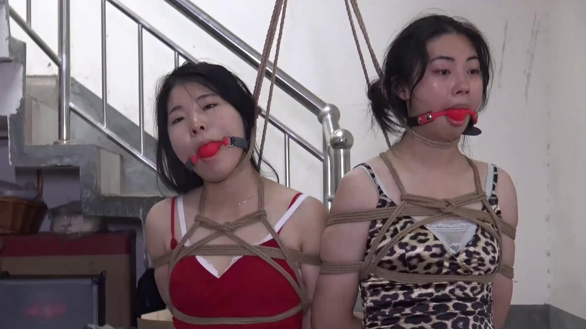 2a9c72e285320aaaac95c13a9339545d