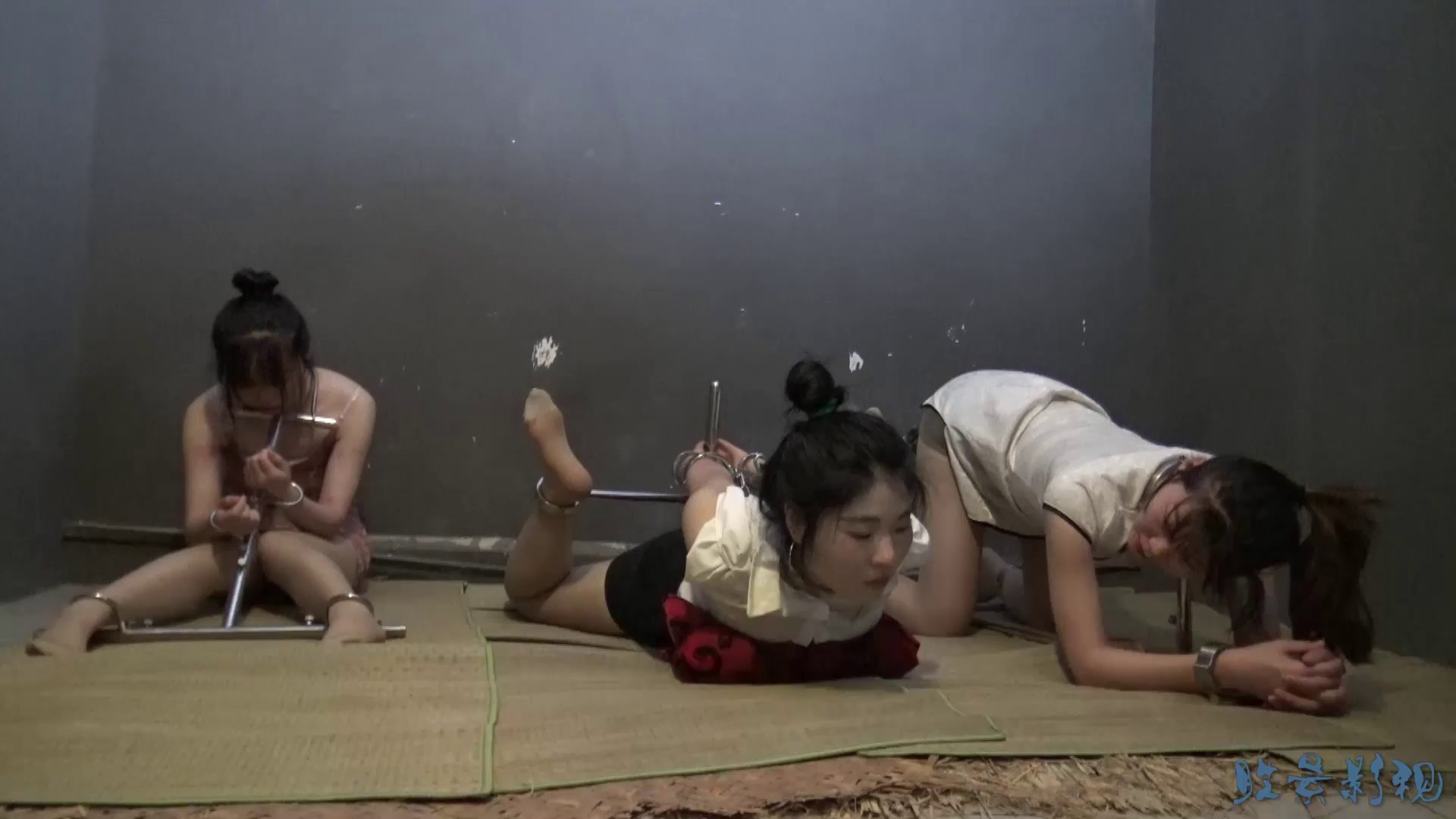 2aaca53bd2de265a67296e84eca79434