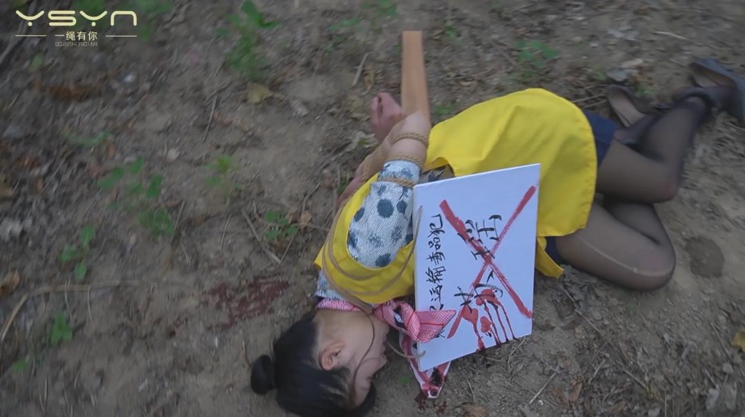 【堕落的云端梦】曾经怀揣蓝天梦想的空姐苏瑶一步之差陷入毒念深渊入牢判死刑枪决-14