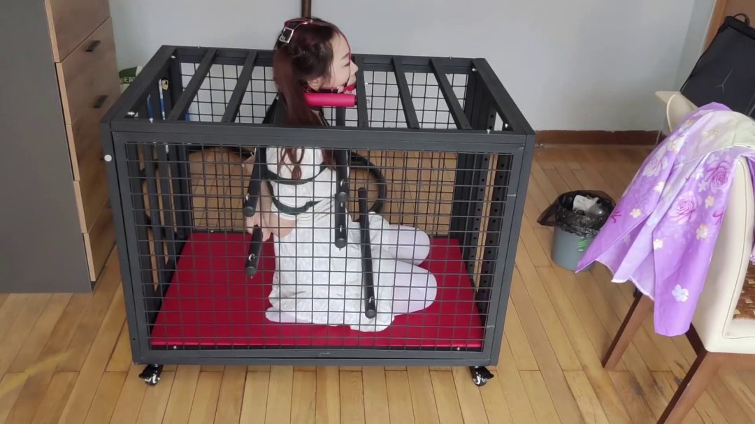 白裙妹子珊珊的铁笼跪缚，金属棒固定身体与头部，鼻钩马具口球联动-7