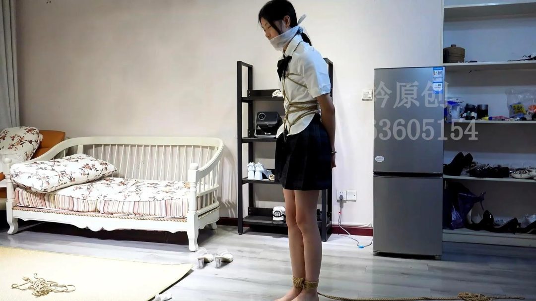 定拍佳佳 各种堵嘴-3