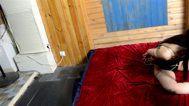 【性感猫女郎】欢欢【口球堵嘴】挣扎不断，精彩不断-7