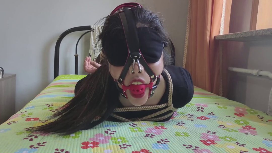 诺诺驷马 强制带鼻钩 马具口球-8