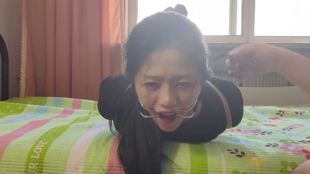 诺诺登场，喉舌口水收集，欧式驷马-6